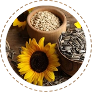 Organic Sunflower Seeds